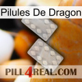 Dragon Pills 17